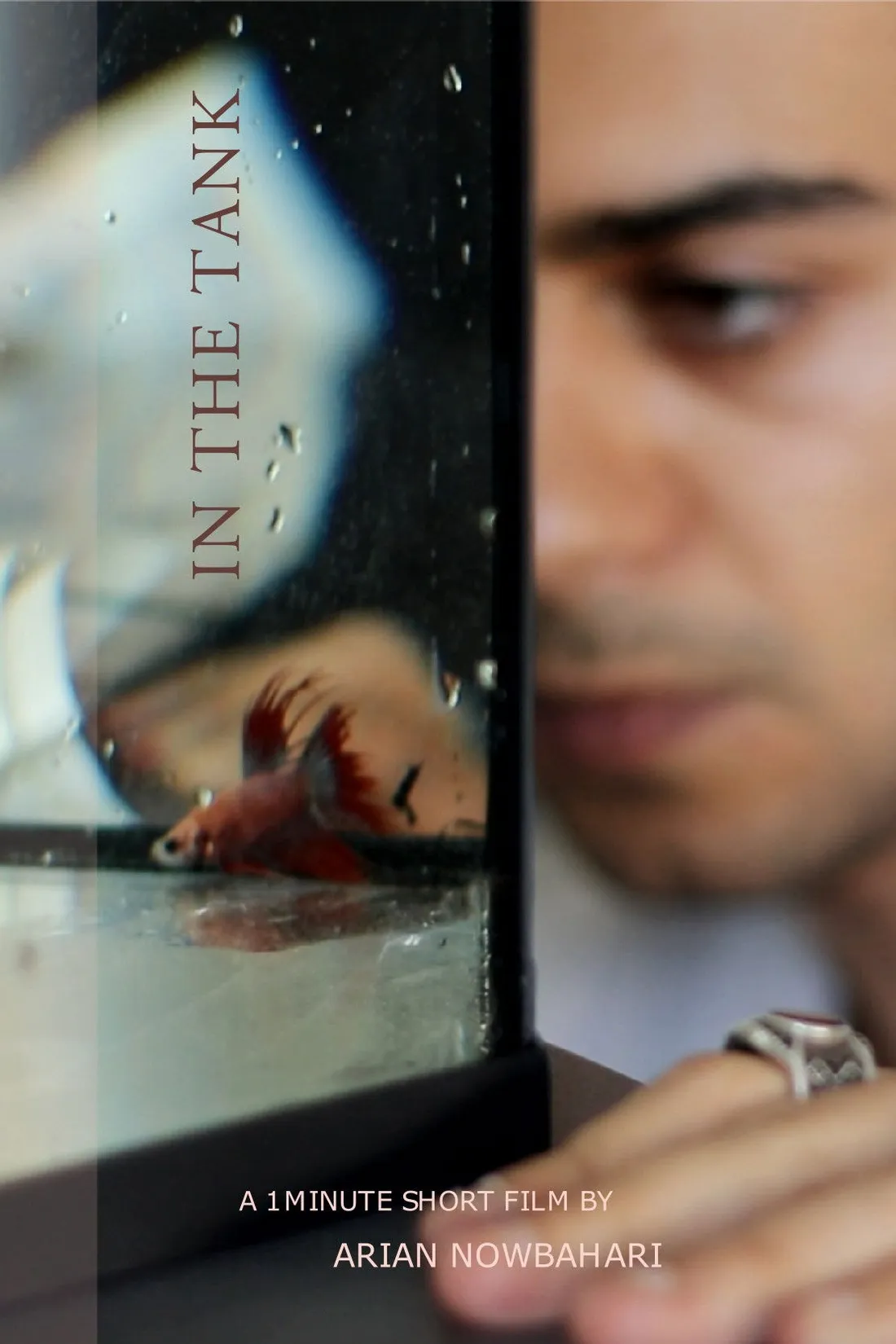 In the tank (2022)